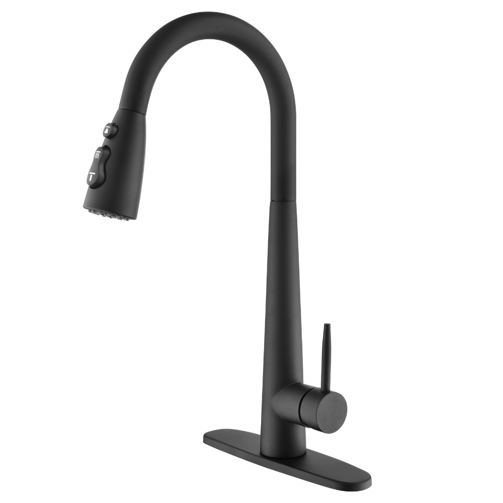 Black Kitchen Faucet with Pull Down Sprayer_0