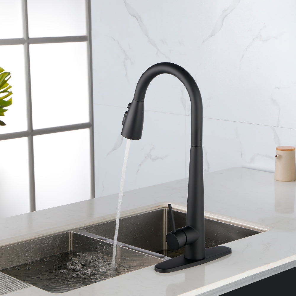 Black Kitchen Faucet with Pull Down Sprayer_1