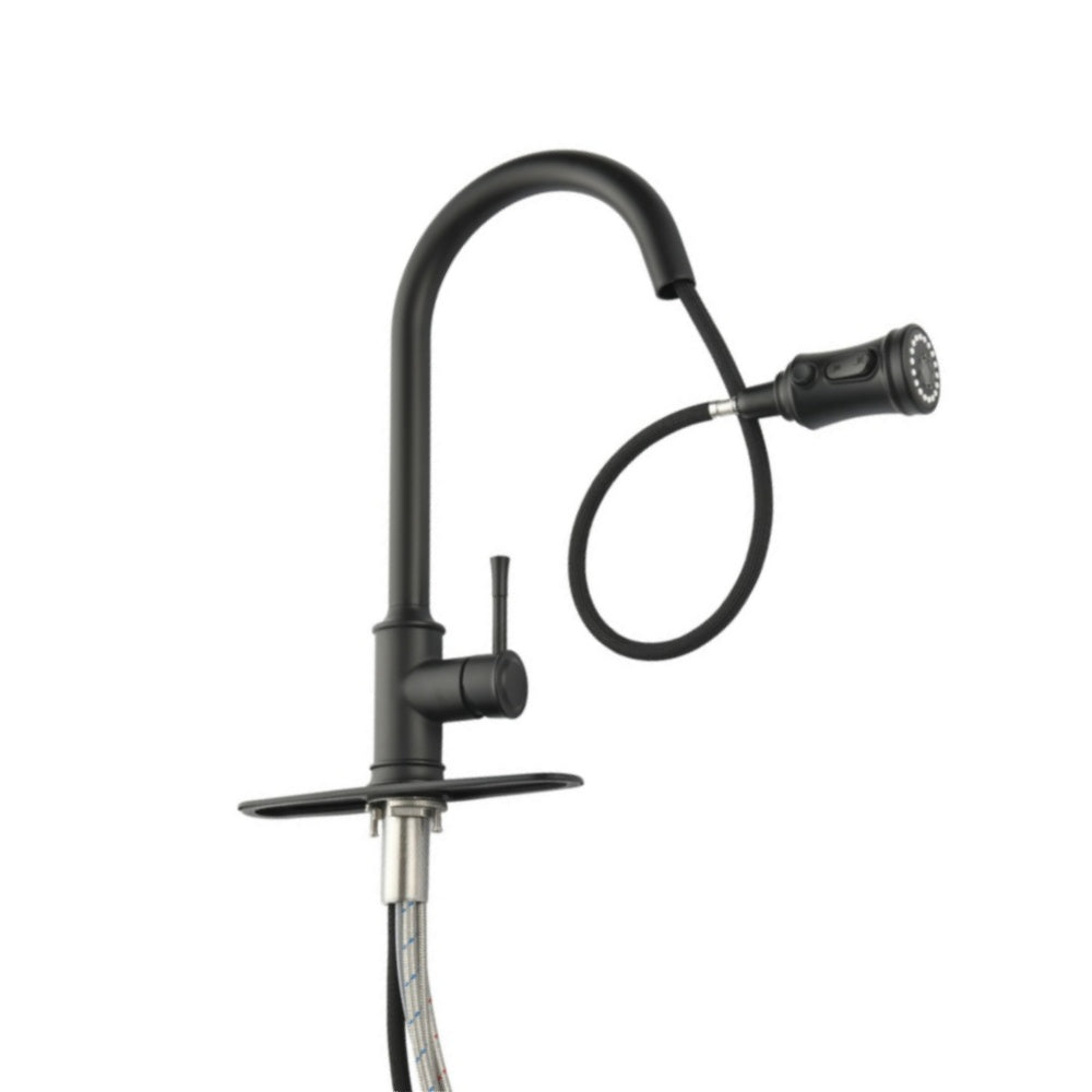 High Arc Single Handle Pull Out Kitchen Faucet Stainless Steel with Pull Down Sprayer_0