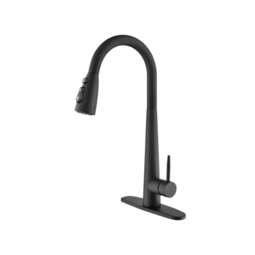 Kitchen Faucet with Pull Down Sprayer Matte Black