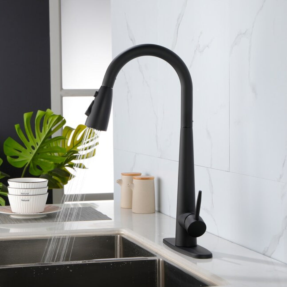 Kitchen Faucet with Pull Down Sprayer Matte Black
