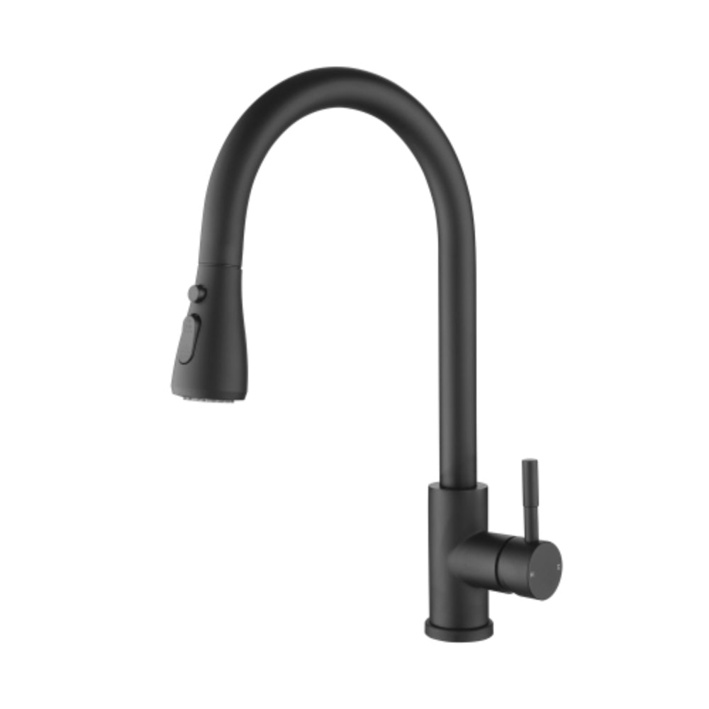 Kitchen Faucet with Pull-Out Sprayer - Black