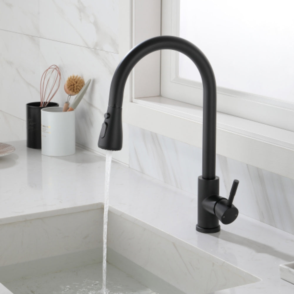 Kitchen Faucet with Pull-Out Sprayer - Black