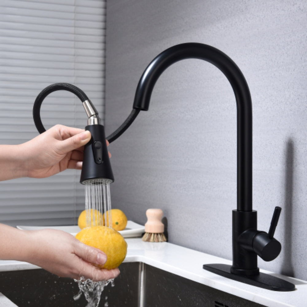 Pull Out Sprayer Kitchen Faucet - Matte Black