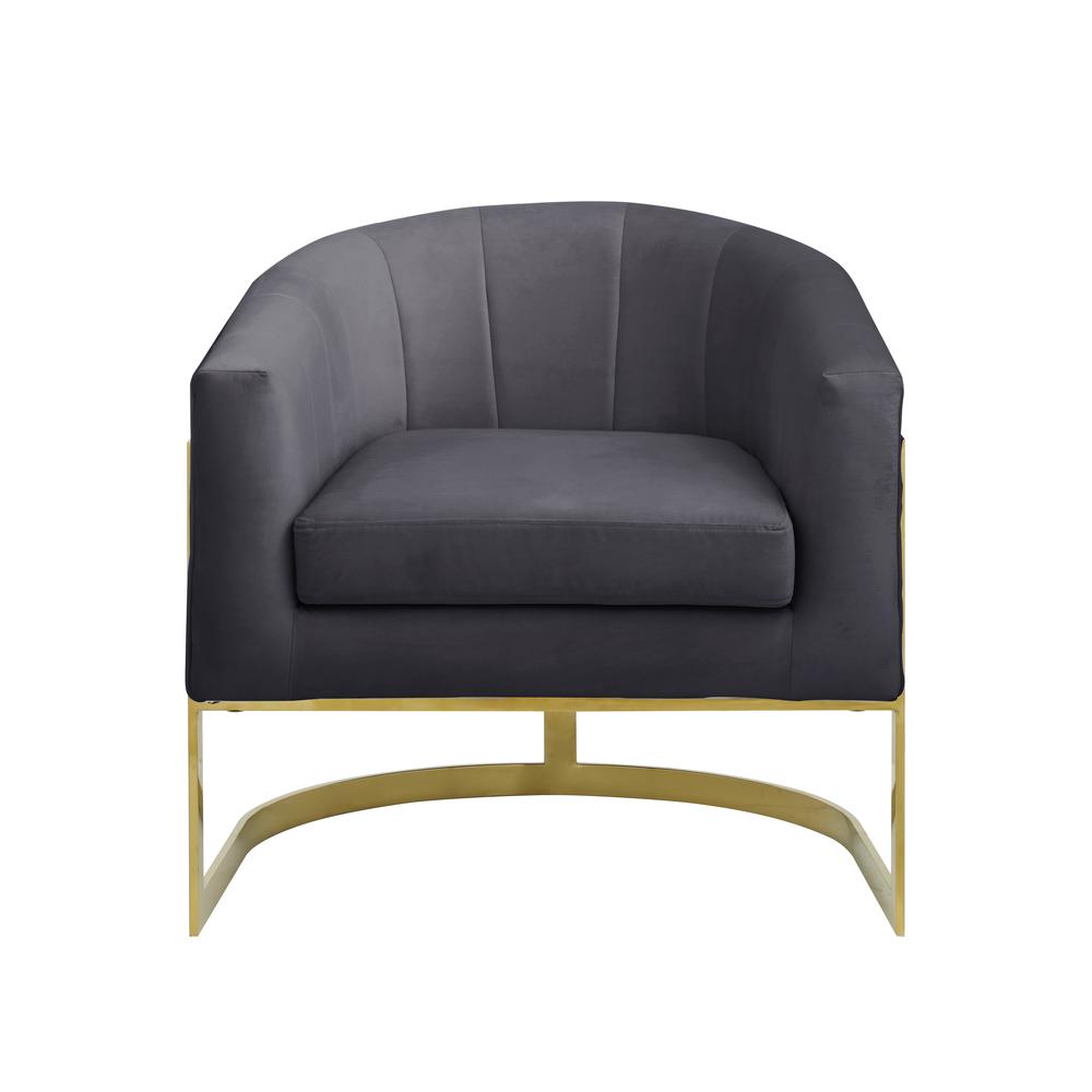 Traxmon Velvet Upholstered Accent Chair in Gray