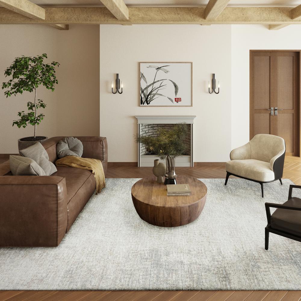 Rylee Gray Transitional Abstract 9' x 12' Area Rug Gray ARY31