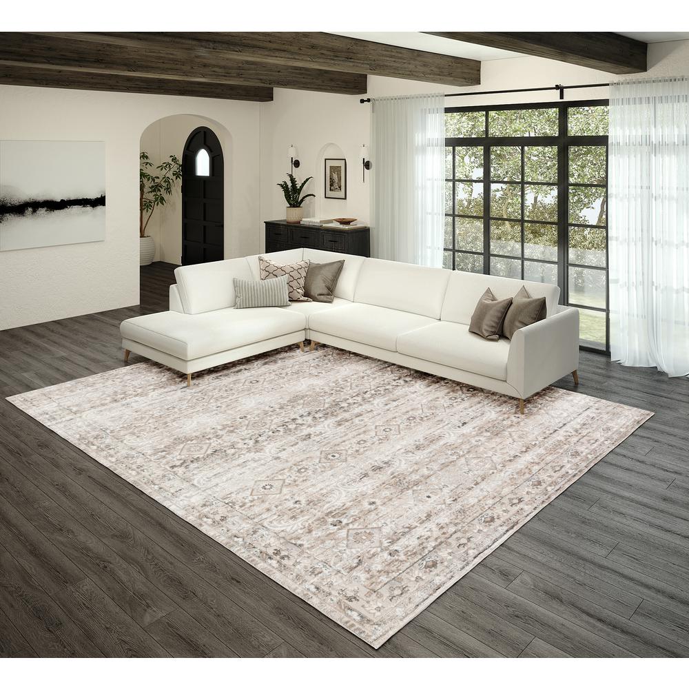 Ansley AAS37 Tan 7'10" x 10' Rug