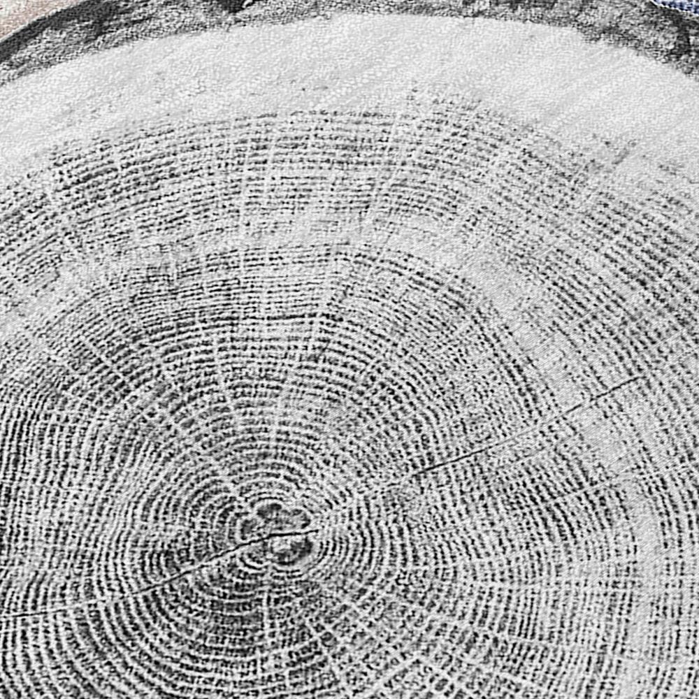 Chantille ACN575 Brown 8' x 8' Rug