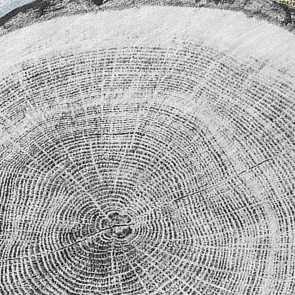 Chantille ACN575 Blue 9' x 12' Rug