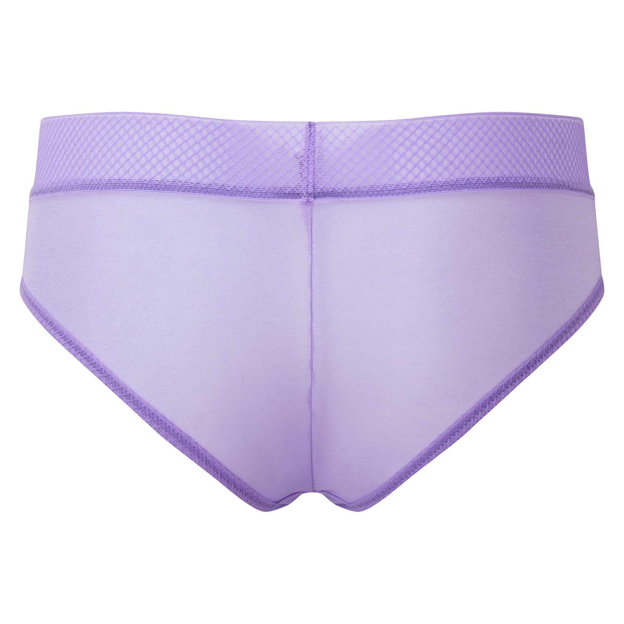 Transparent Cheeky Short Panties with Cotton Liner