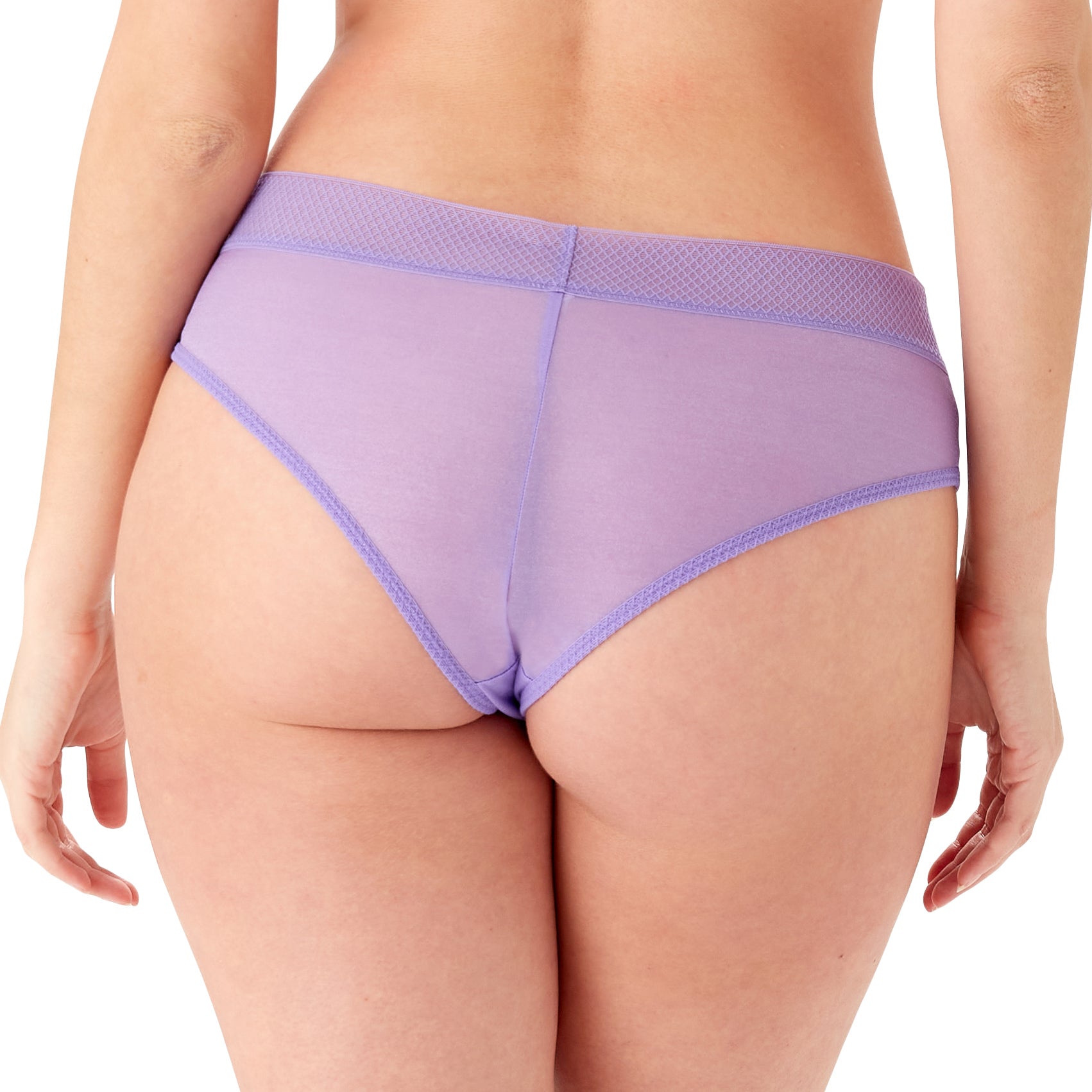 Transparent Cheeky Short Panties with Cotton Liner