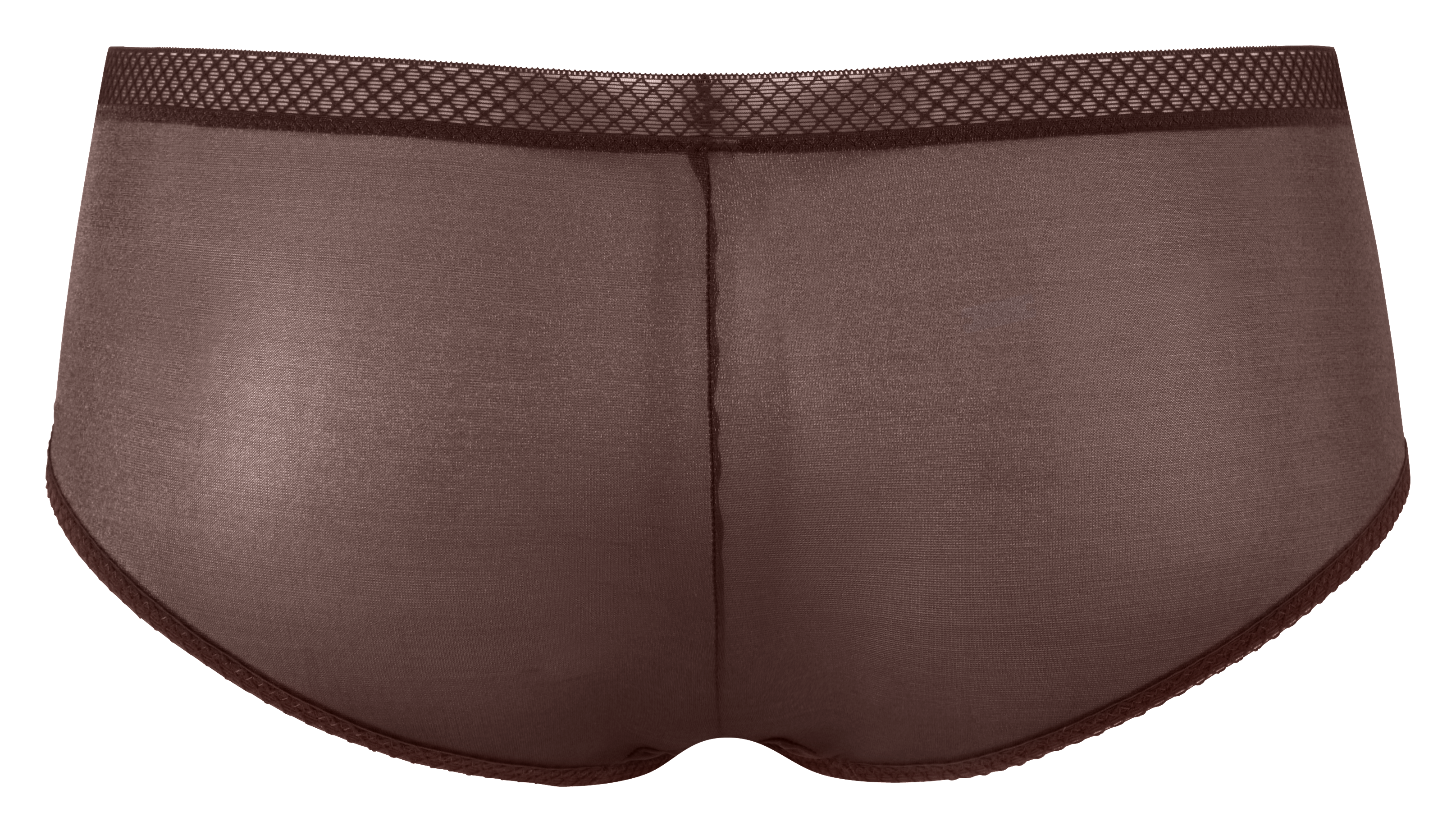 Sheer See Through Shorts Panty Elegant Fit