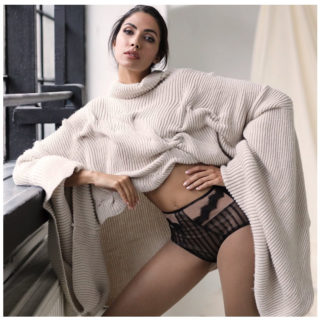 High Waist Sheer Lace Brief Panties Elegant Design