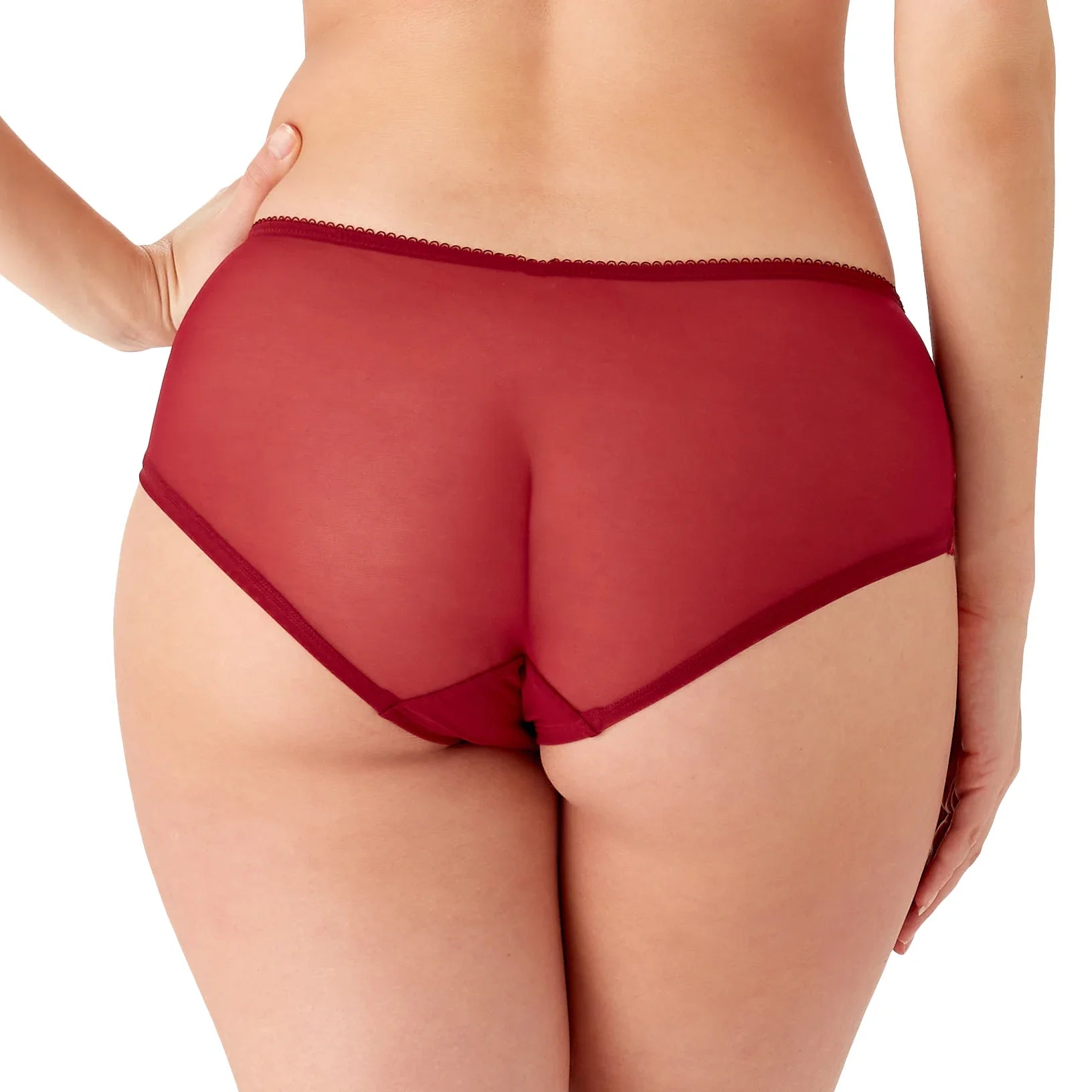 Sexy Sheer Shorts Panty Neon Coral Lace