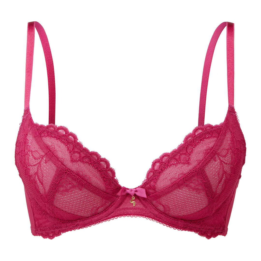Plunge Bra with Sheer Lace