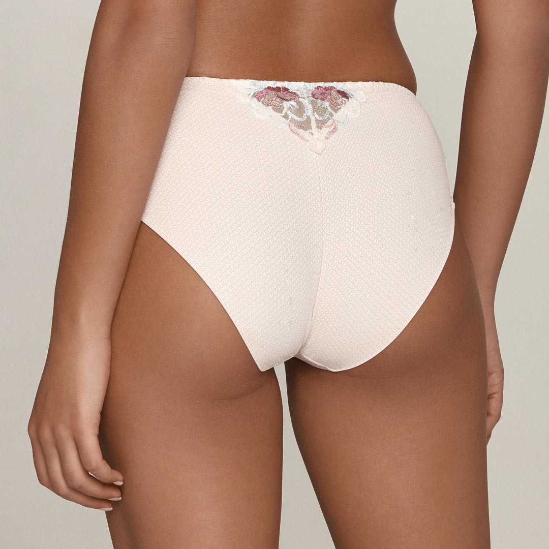 Delicate Semi Sheer Maxi Brief Panty