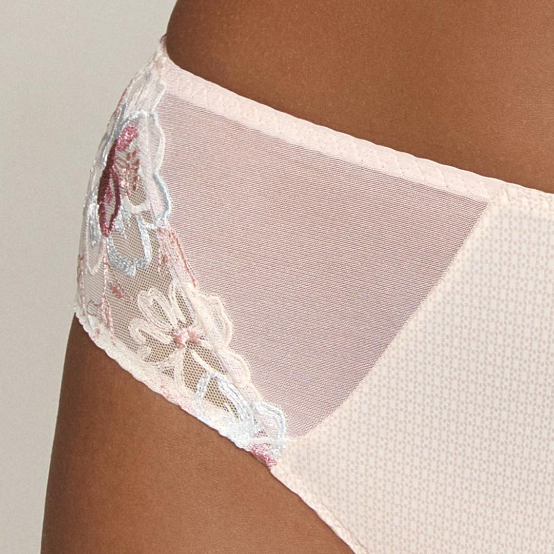 Delicate Semi Sheer Maxi Brief Panty