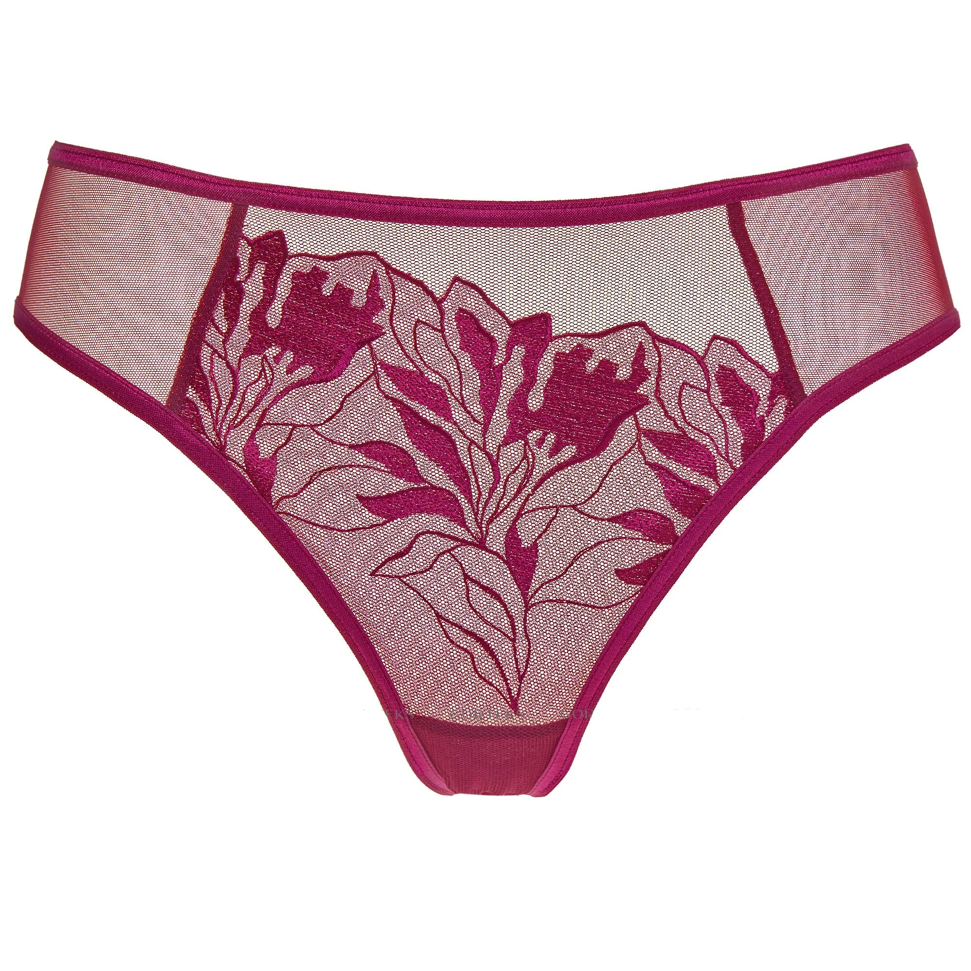 Mid-Rise Sheer Bikini Panty with Elegant Lace
