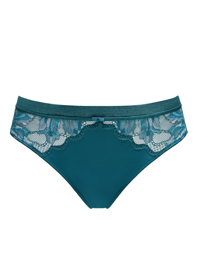 Sheer Lace Bikini Style Midi Brief Panty