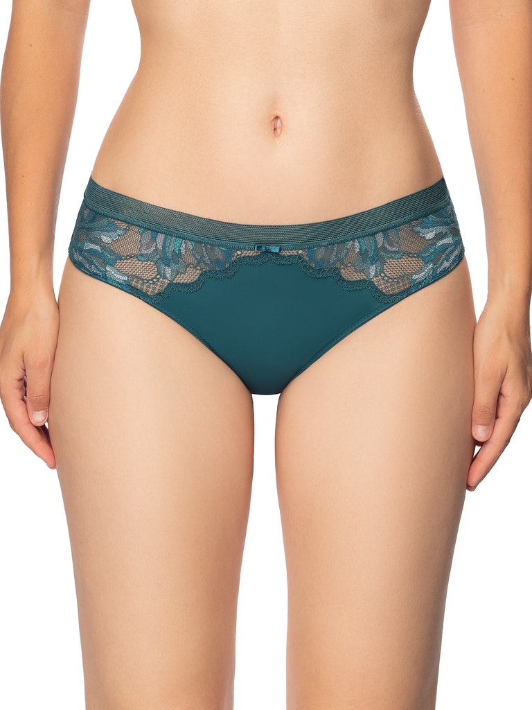 Sheer Lace Bikini Style Midi Brief Panty