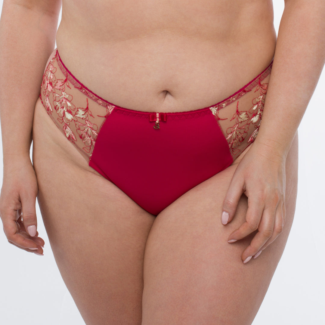 Sheer Mesh Tulle Embroidered Bikini Panty
