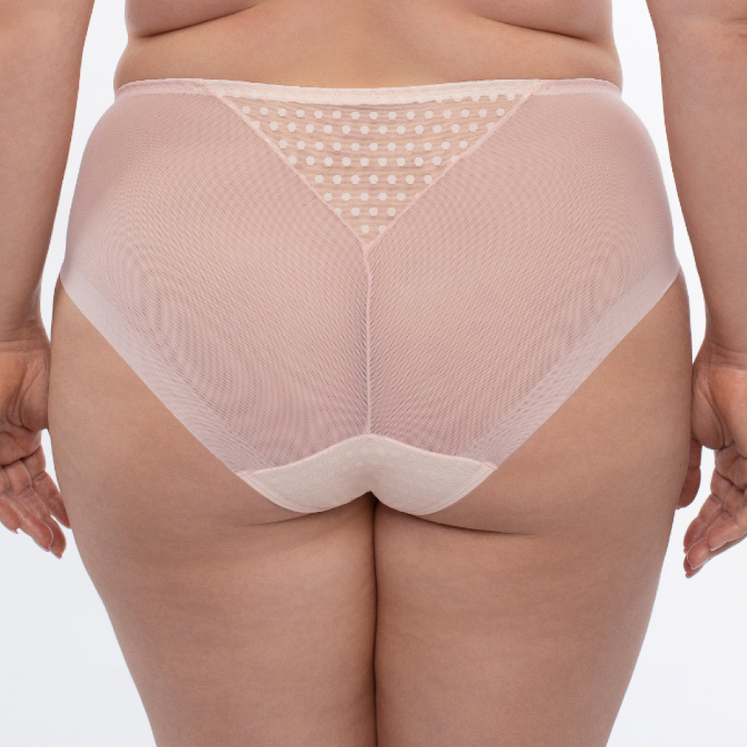Sheer Mesh Midi Brief Panty with Swiss Embroidery Design