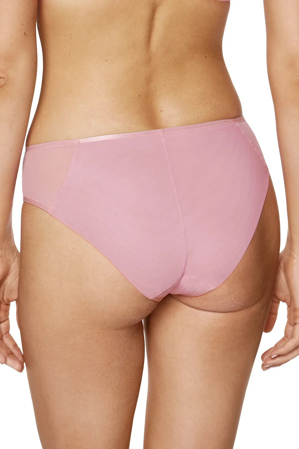 Comfort Fit Floral Embroidered Bikini Panty