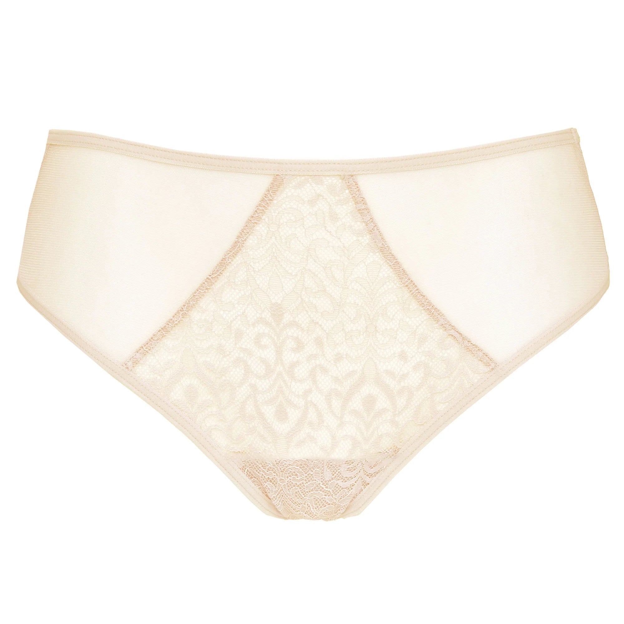 Sheer Elastic Tulle Low-Rise Bikini Panty