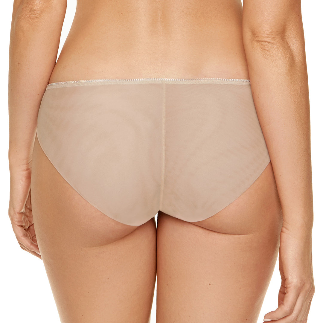 Low-Rise Semi Sheer Bikini Panty