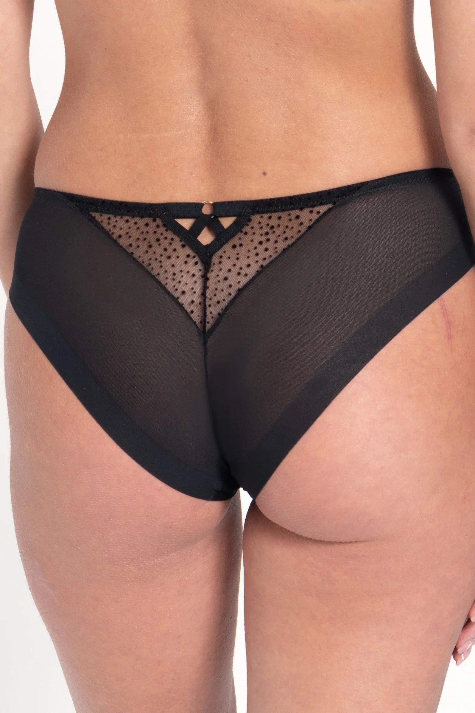 Semi-Sheer High-Waist Brief Panty