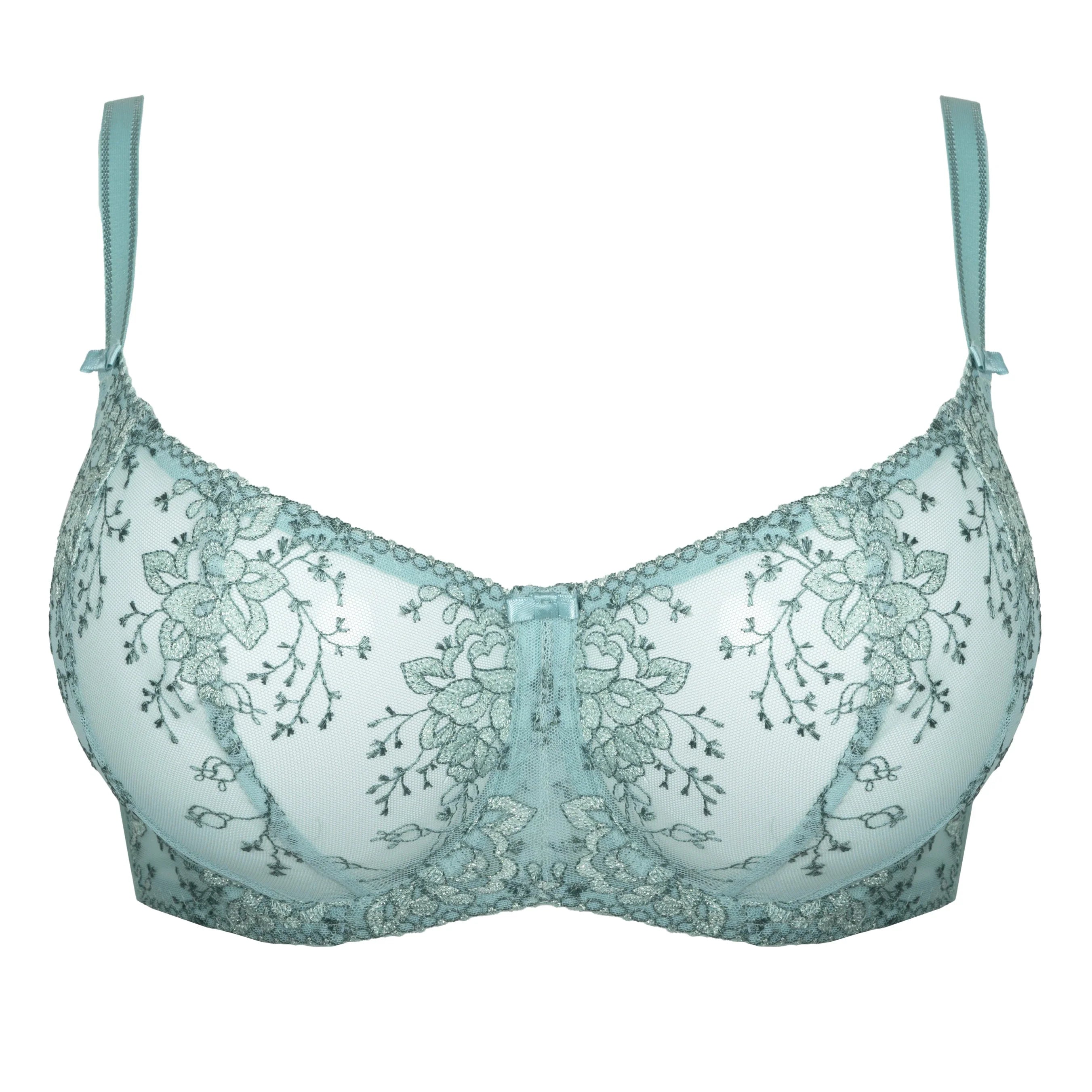 Elegant Sheer Embroidered Bra