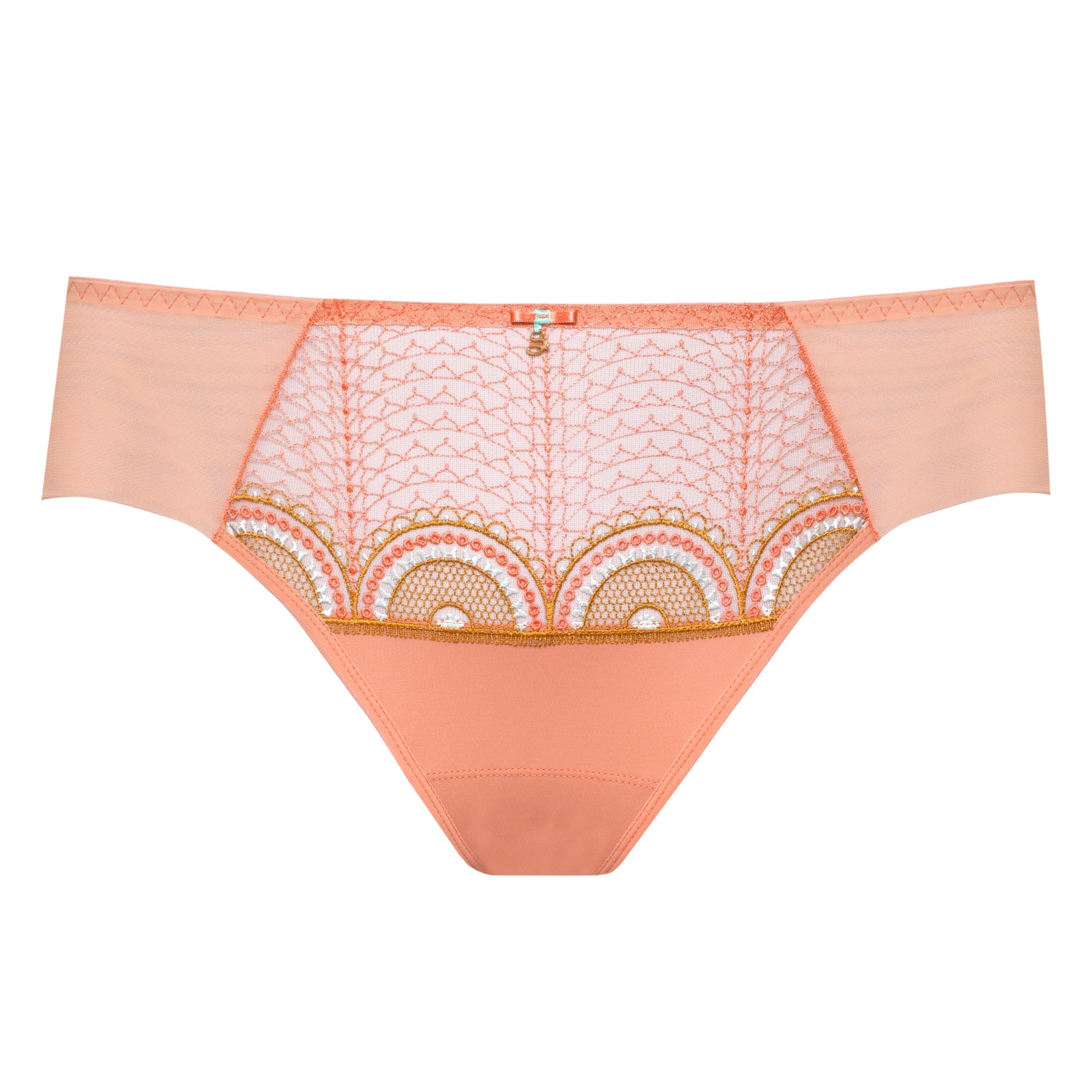 Sheer Mesh Tulle Bikini Panty Elegant Design