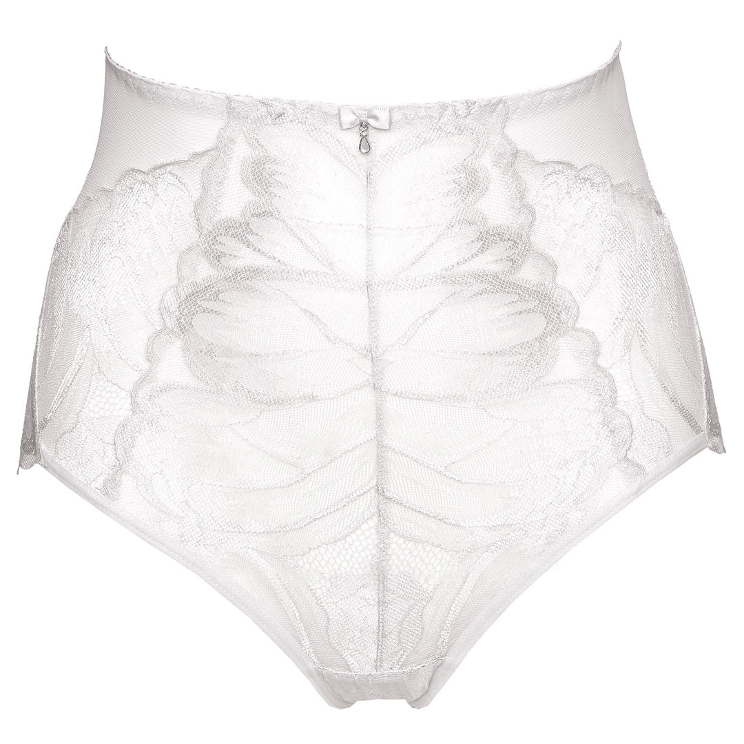 Flattering Lace High-Waist Semi-Sheer Brief
