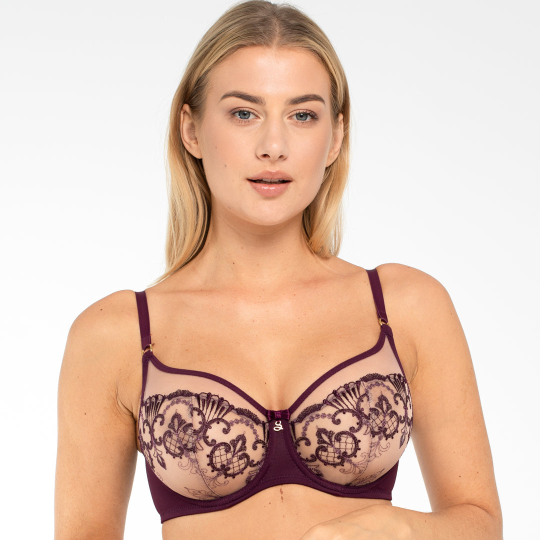 Sheer Mesh Embroidered Full Figure Bra