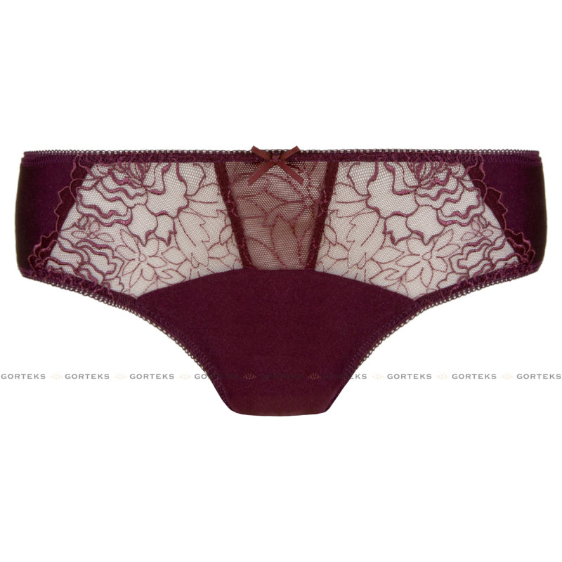 Semi Sheer Lace Low Rise Bikini Panty with Floral Embroidery