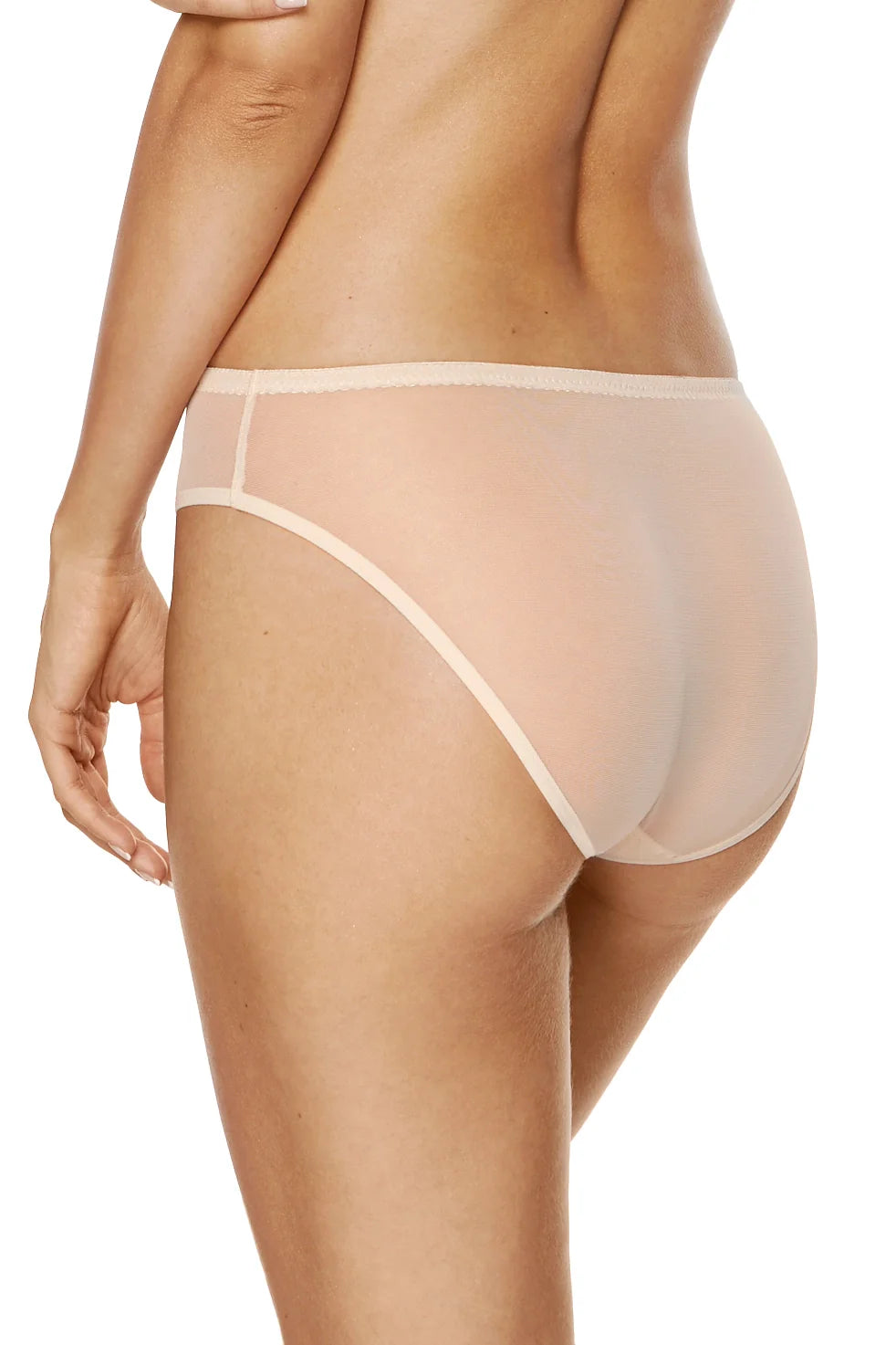 Sheer Mesh Bikini Panty with Embroidery