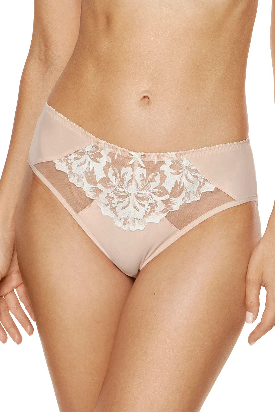 Semi-Sheer Embroidered Bikini Panty