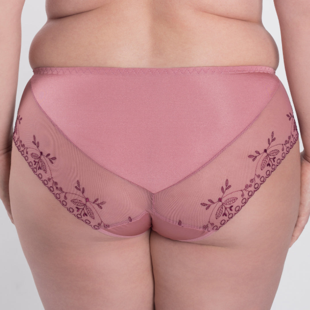 Sheer Mesh Midi Brief Panty with Swiss Embroidery Design