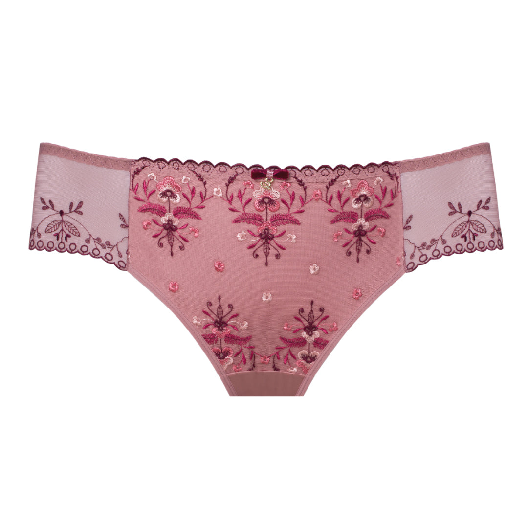 Sheer Mesh Midi Brief Panty with Swiss Embroidery Design