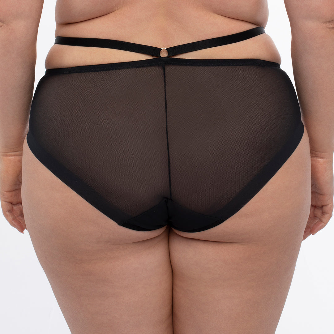 Transparent Tulle Embroidered Bikini Panty Full Coverage