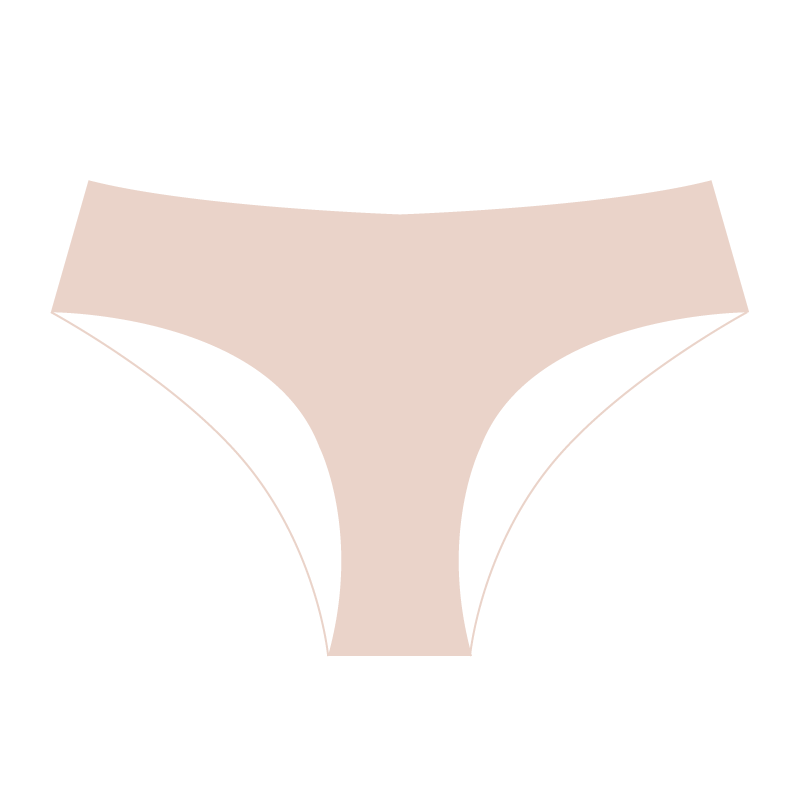 Lace Brazilian Panty with Sheer Back