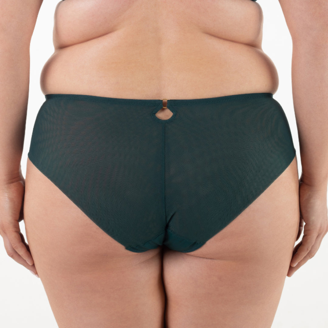 High Waist Sheer Mesh Brief Panties Soft Stretch Design