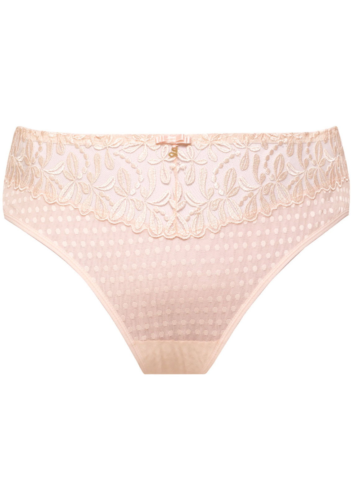 Sheer Mesh Midi Brief Panty with Swiss Embroidery Design