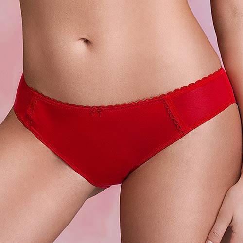Sexy Sheer Mesh Back Bikini Panty with Floral Embroidery