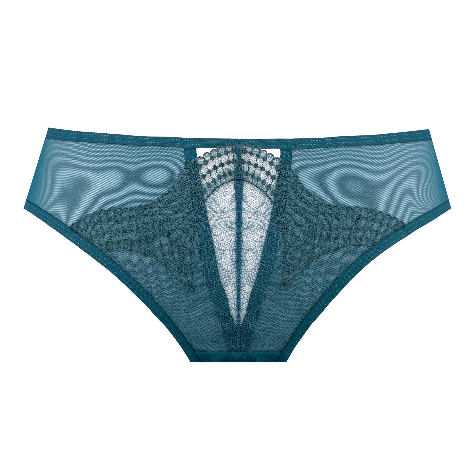 Elegant Sheer Hipster Panty