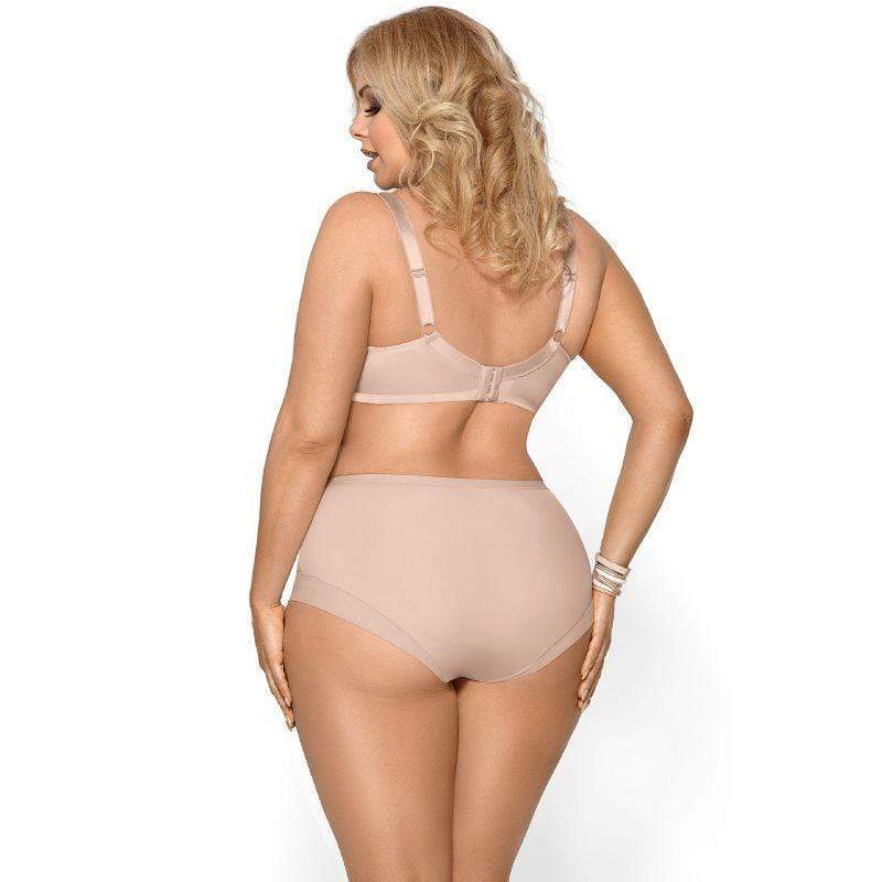 Sheer Lace High Waist Brief Panties Everyday Comfort