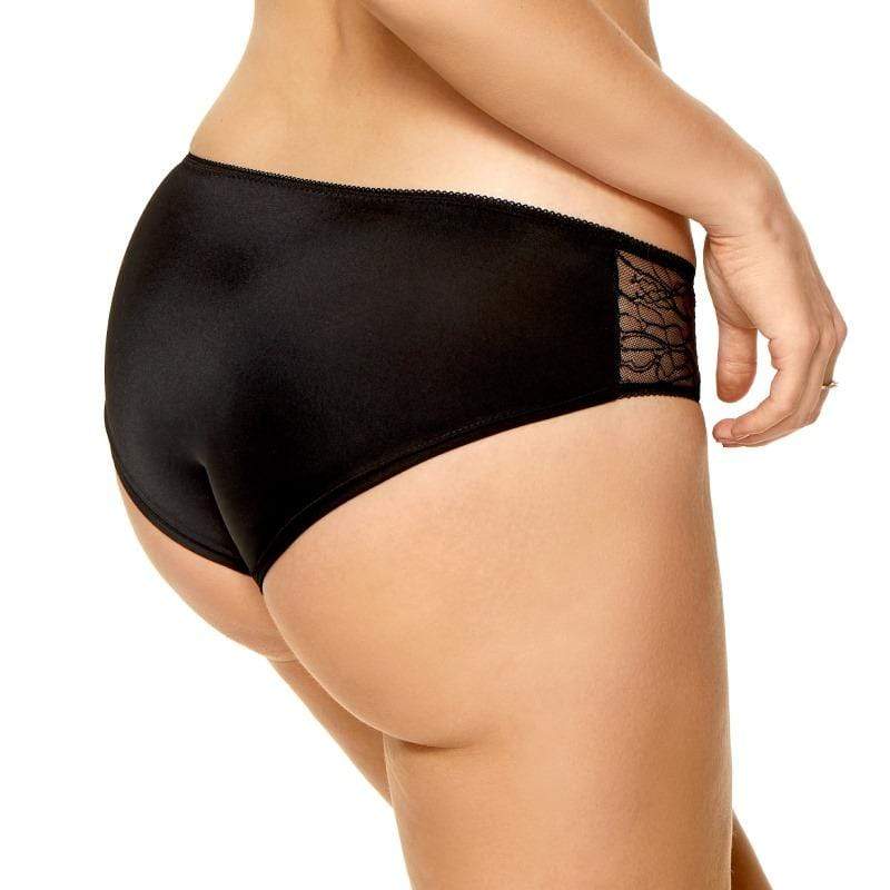 Low Rise Sheer Mesh Lace Bikini Panty with Elegant Design