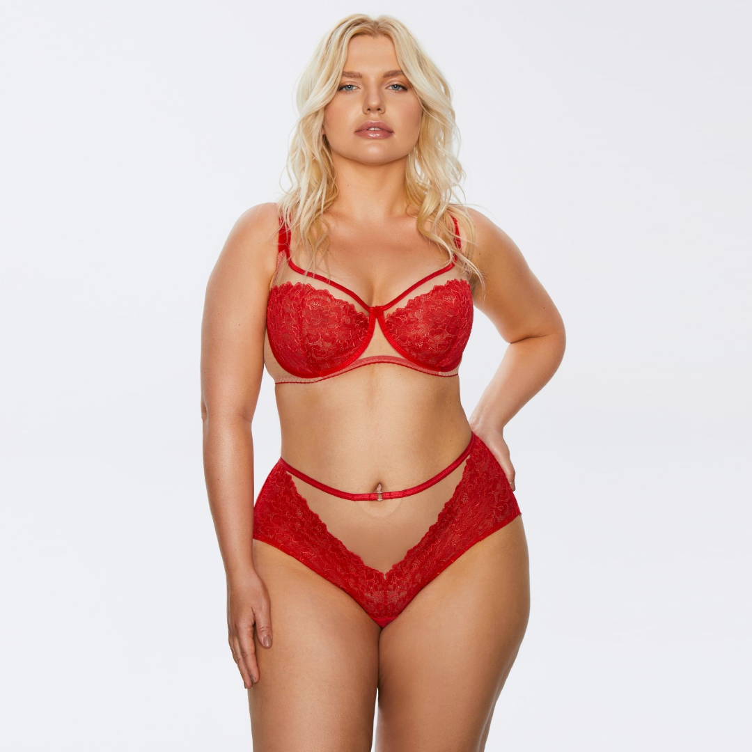 Full-Busted Lace Bra with Sheer Mesh