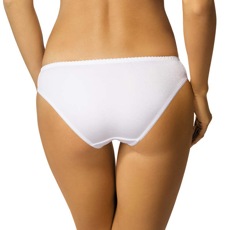 Semi Sheer Lace Low Rise Bikini Panty with Floral Embroidery