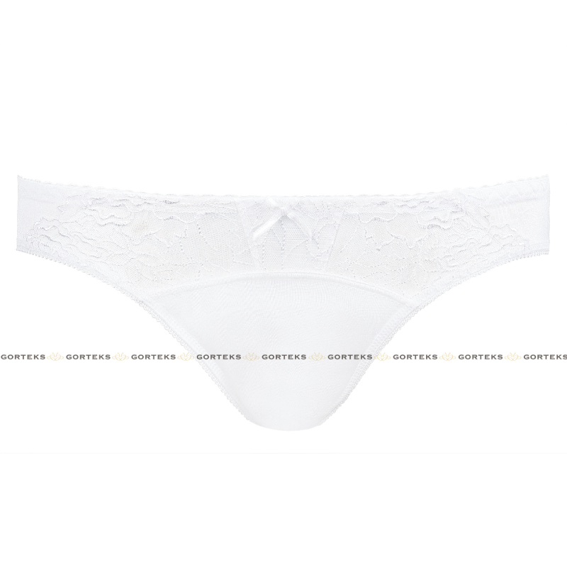 Semi Sheer Lace Low Rise Bikini Panty with Floral Embroidery